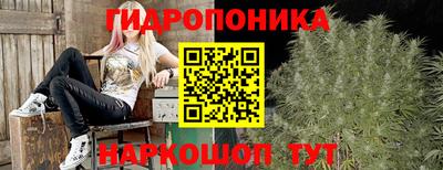 герыч Будённовск